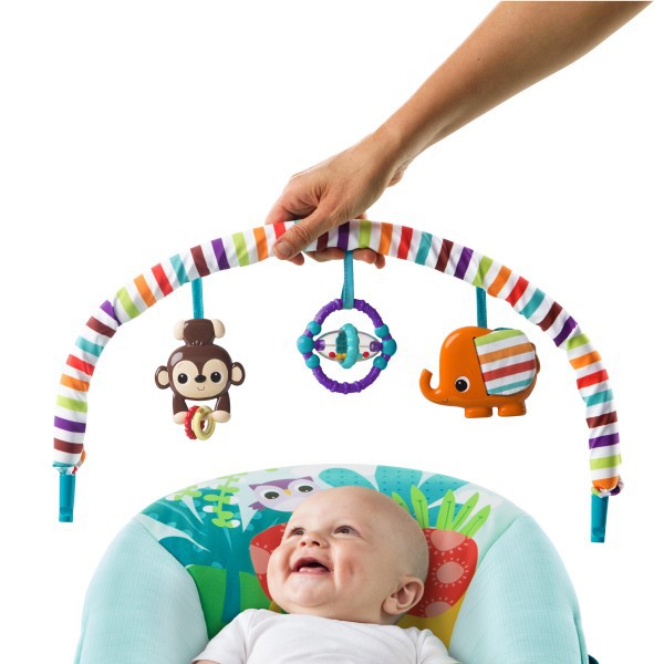 Hamaquita Safari Surprise